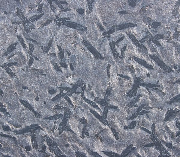 Black Pearl Granite Charcoal 1025 (Honed Finish) – Image 2