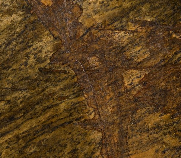 Black Elk Granite Polychrome 1829 – Image 2