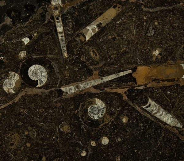 Coal Marble Charcoal 2410 – Image 2