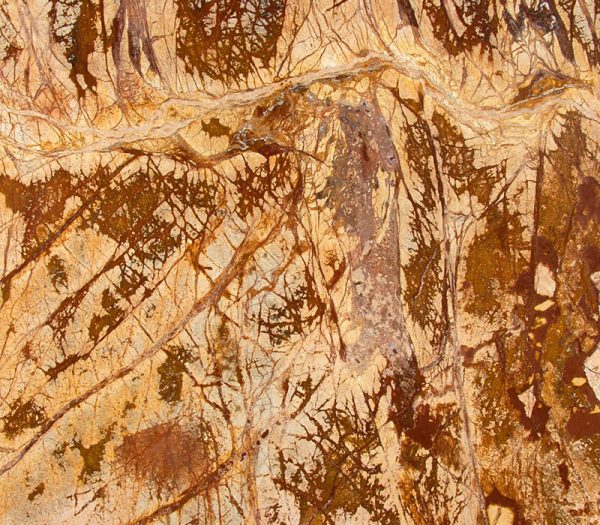 Orient Marble Earth 2116 (Honed Finish)