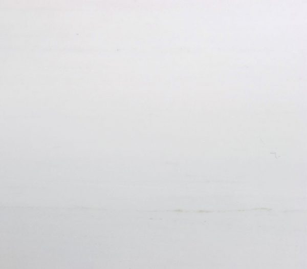 Marble Pure Fancy White 2205