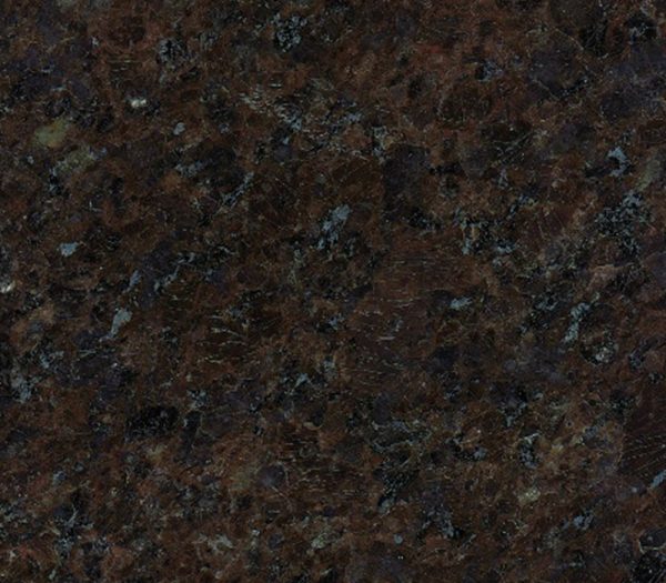 Elegant Coffee Brown
