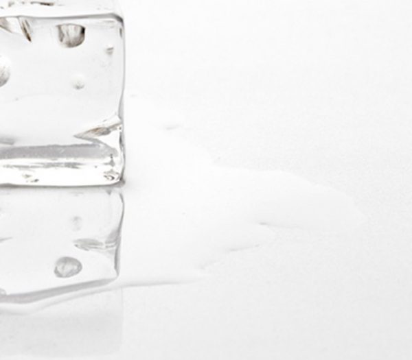 Elegant Pure White – Image 2