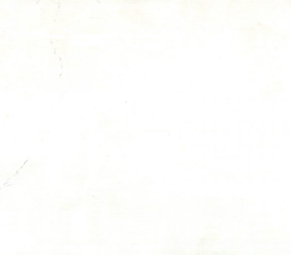 TCE Glamorous White