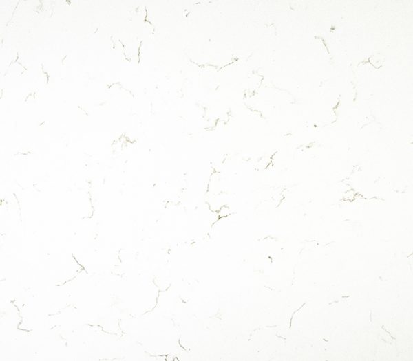 TCE Attractive White