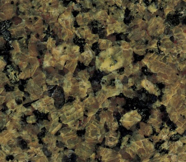 Deep Tropical Brown